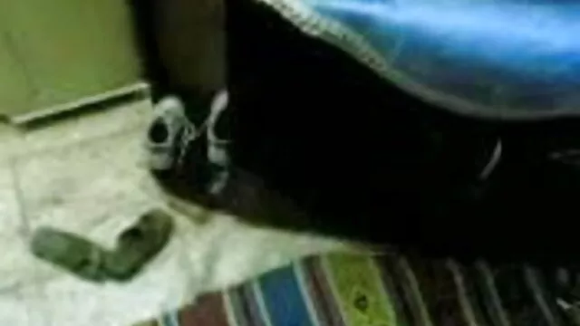 प्रसार और उजागर-क्रिस्टीना वीडियो सेक्सी मूवी एचडी गुलाब एलिस कब्र