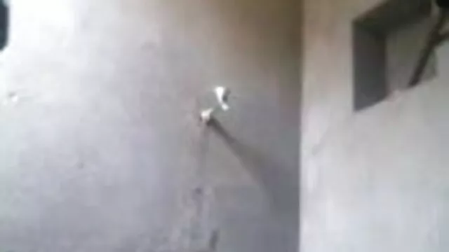 नरम शरीर वीडियो सेक्सी मूवी एचडी में किसी न किसी थप्पड़