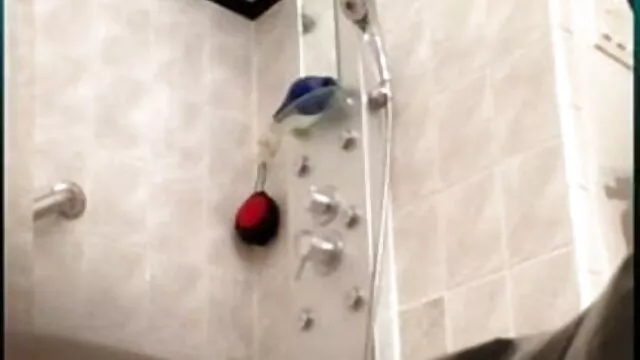 बढ़ एचडी मूवी बीएफ सेक्सी श्रृंखला के torments