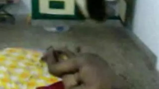 बीडीएसएम रिश्ते सनी लियोन की सेक्सी वीडियो फुल एचडी मूवी में निजी जीवन