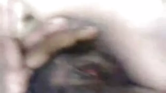 स्तनों के लिए दर्द हिंदी एचडी सेक्सी मूवी के बंधन