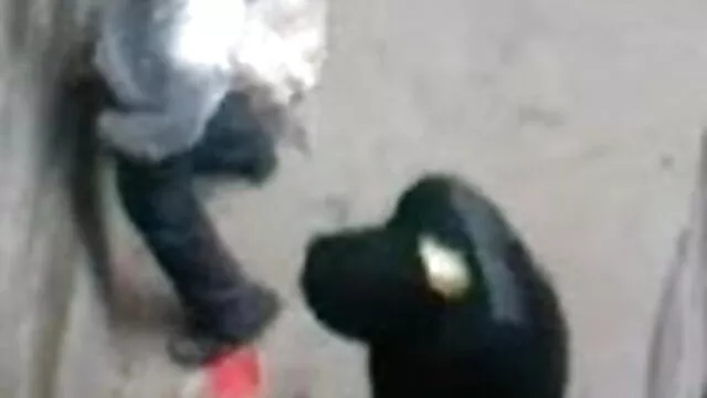 कड़ी हिंदी सेक्सी मूवी फुल एचडी में मेहनत-जनवरी 14, 2015-रस्सी फूहड़-जेसिका रयान-जैक हथौड़ा