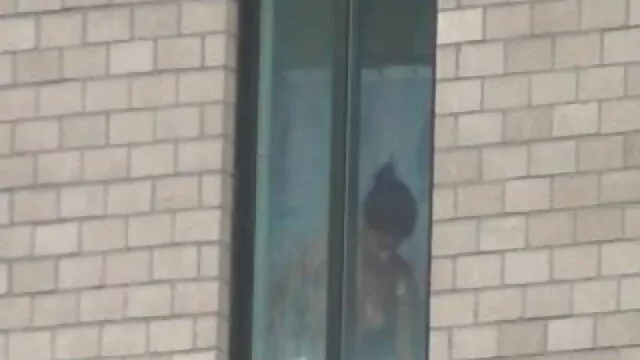 जापानी बीडीएसएम के साथ गुदा हिंदी सेक्सी वीडियो मूवी एचडी