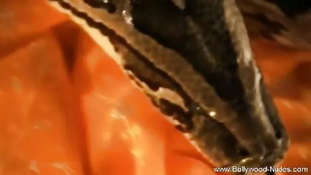 वर्षा (2014) ब्लू सेक्सी मूवी एचडी