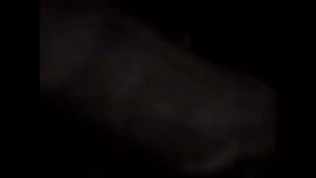 लोहा और देसी सेक्सी एचडी मूवी मांस