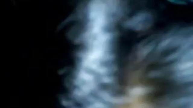 इनसेक्स-810 का लाइव फीड (15 अक्टूबर 2000 से) (810) फुल मूवी एचडी सेक्सी