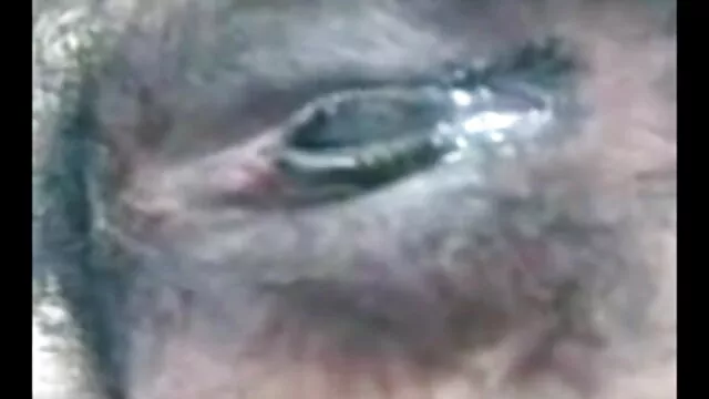 प्रश्न-पीटी हिंदी मूवी सेक्सी फुल एचडी 2