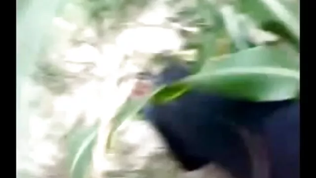 अतिरिक्त सेक्सी फिल्में फुल एचडी योजना