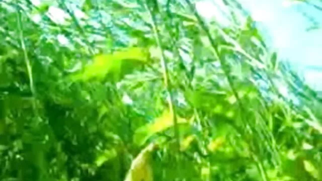 फैबिएन-फर्डिनेंड एचडी इंग्लिश सेक्सी मूवी