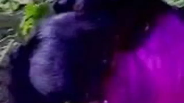 B & D सुख – दास के मौसम हिंदी फिल्म सेक्सी एचडी के