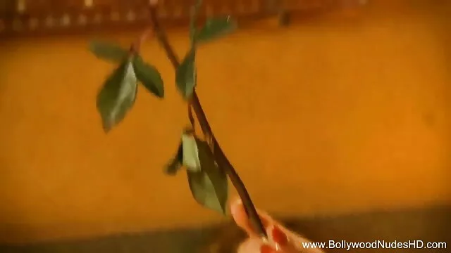 बीडीएसएम हिंदी सेक्सी एचडी मूवी वीडियो में मेरा नया रोमांच