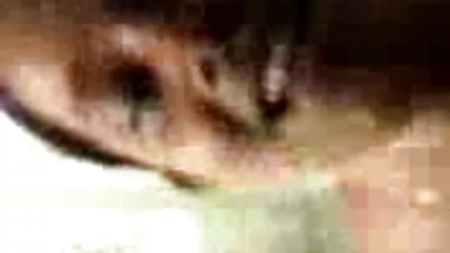 ऐश हिंदी सेक्सी एचडी मूवी वीडियो 6-इनसेक्स