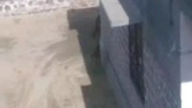 विशेष सनी लियोन फुल सेक्सी मूवी एचडी अभ्यास, भाग 23 (2014)