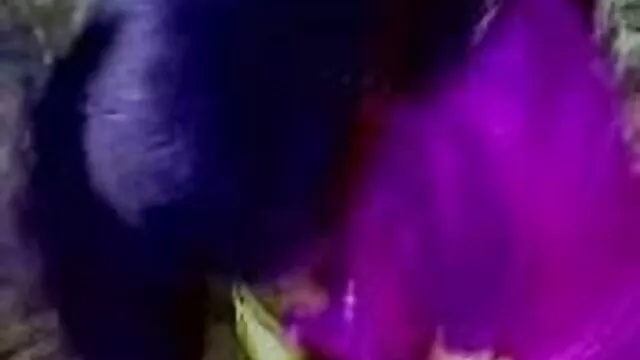 संवेदनशील सेक्सी वीडियो फुल मूवी एचडी बिल्ली और उसे कठिन कमबख्त